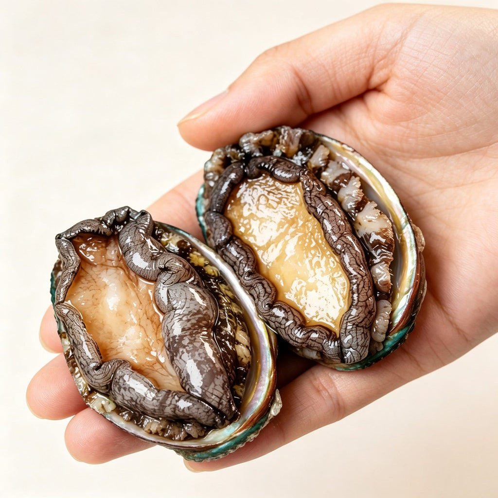 Whole abalone with iridescent shell and plump foot meat