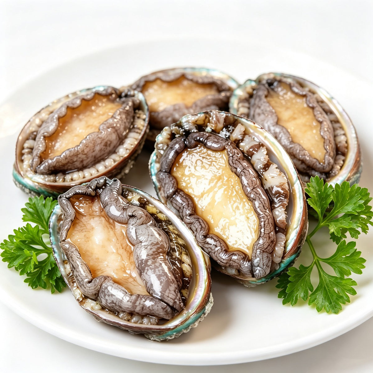 Whole abalone with iridescent shell and plump foot meat