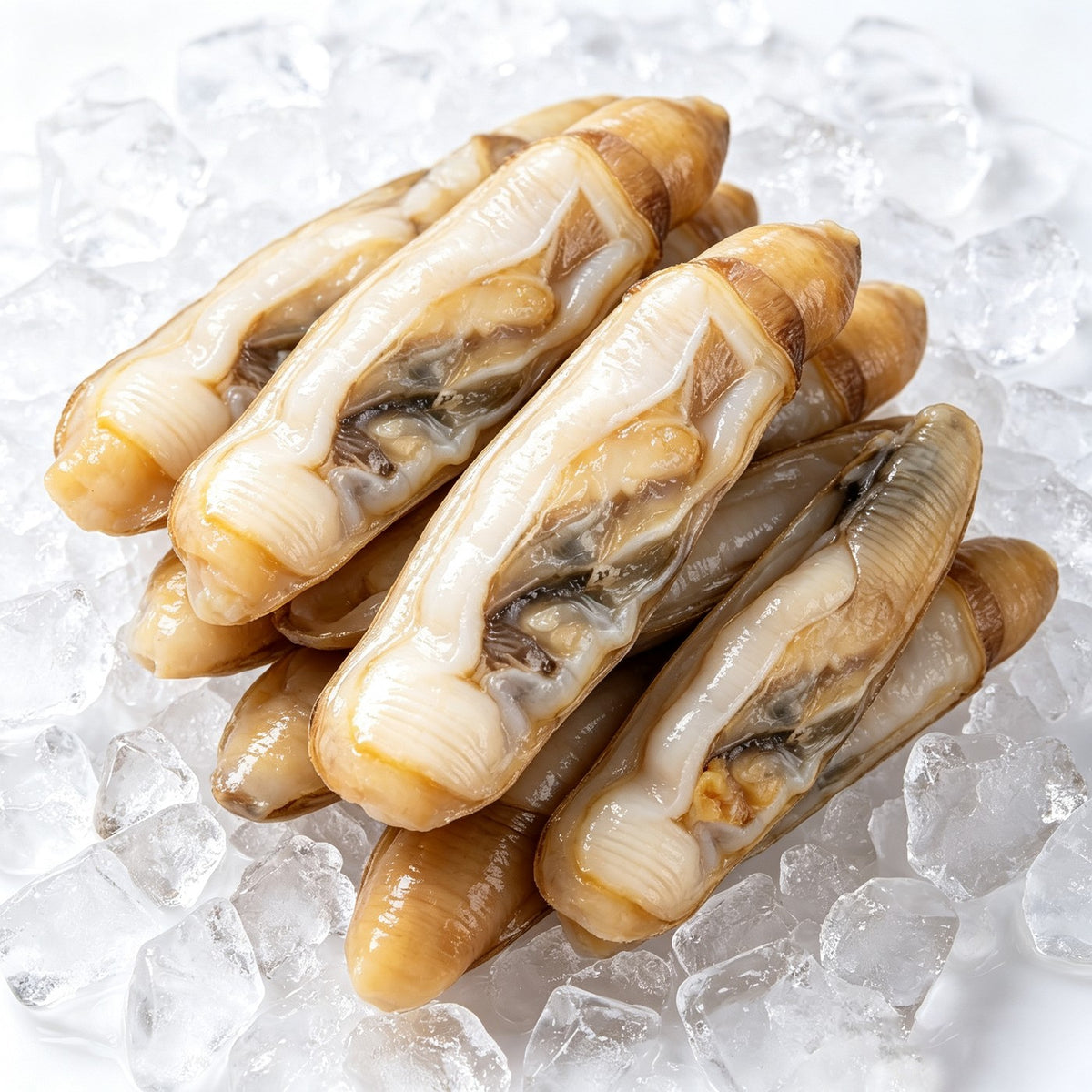 Plump shelled razor clam meat, cleaned and ready to cook